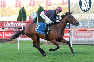 Malicorne & Mark Zahra @ Moonee Valley 18 Dec 2020